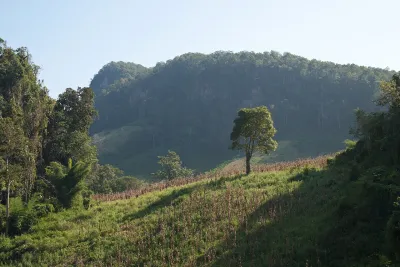 Mae Hong Son, Forest on the hills, Thailand — Мехонгсон