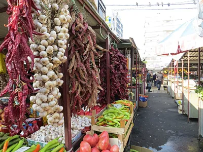 Каленич, Белград